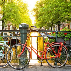 Collection image for: Vélos d'occasion