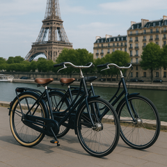 Collection image for: Vélos hollandais