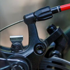 Collection image for: Frein