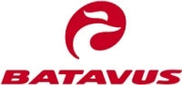 Collection image for: Batavus