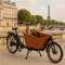 Vélos cargot